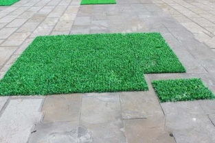 北京仿真草坪與鮮花綠植 美化環境的選擇與優勢