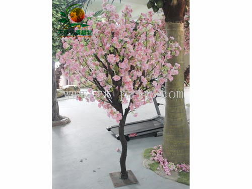 江蘇連云港萬達公司主推綠植采購，打造健康環保辦公與生活環境