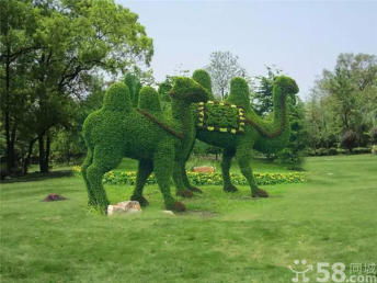 廣州植物雕塑定制與綠植銷售服務全面指南