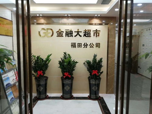 深圳南山辦公室花卉租擺服務 專業園藝公司推薦與綠植選擇指南