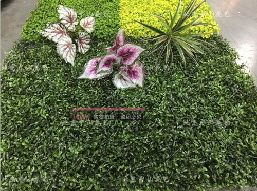 北京哪里有賣仿真植物墻和綠植墻的廠家及銷售指南