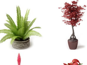 現代綠植盆栽 精品陶罐與綠植景觀設計圖下載指南