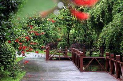 堅持綠色發展，全友產品通過碳足跡認證引領行業新潮流