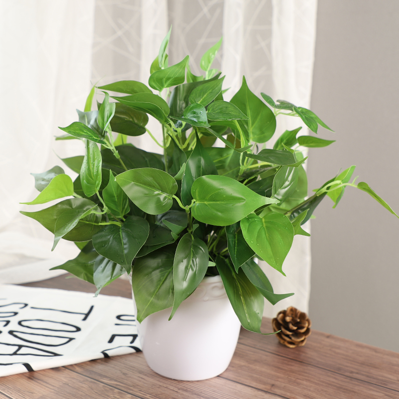 仿真植物盆景 永不凋零的綠意美學(xué)